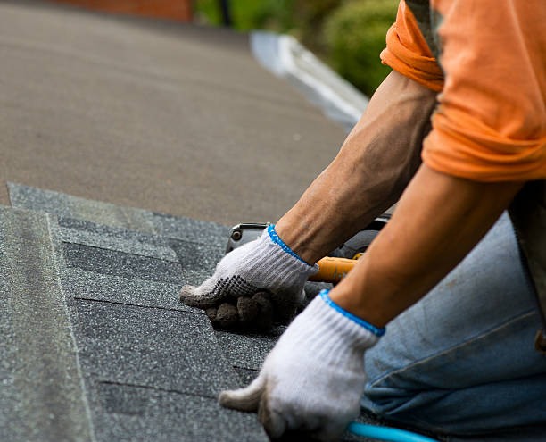 Best Commercial Roofing Services  in Versailles, IN