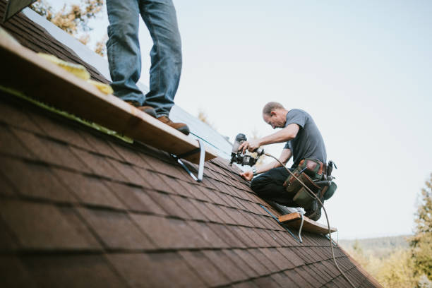 Best Roof Leak Repair  in Versailles, IN